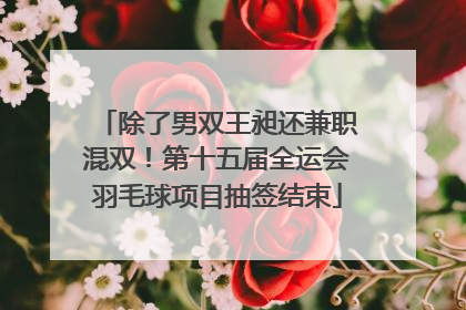 除了男双王昶还兼职混双！第十五届全运会羽毛球项目抽签结束