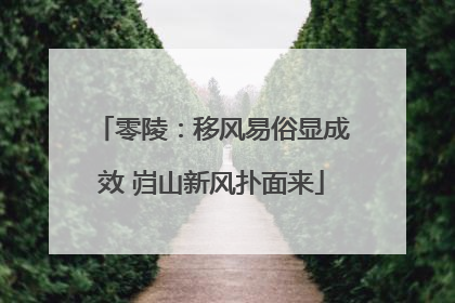 零陵：移风易俗显成效 岿山新风扑面来
