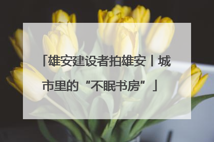 雄安建设者拍雄安丨城市里的“不眠书房”