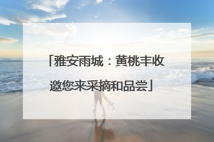 雅安雨城：黄桃丰收 邀您来采摘和品尝