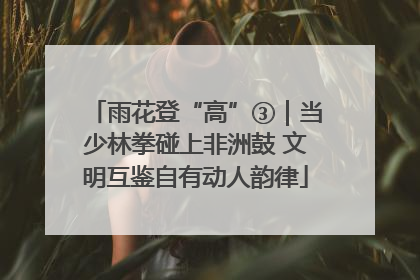 雨花登“高”③｜当少林拳碰上非洲鼓 文明互鉴自有动人韵律