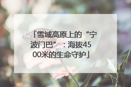 雪域高原上的“宁波门巴”：海拔4500米的生命守护