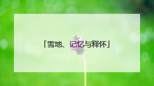 雪地、记忆与释怀