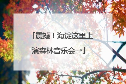 震撼！海淀这里上演森林音乐会→