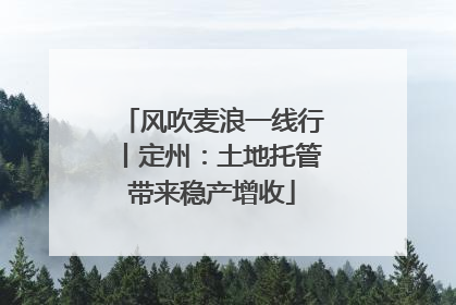 风吹麦浪一线行丨定州：土地托管带来稳产增收