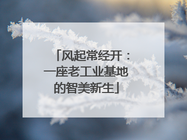 风起常经开：一座老工业基地的智美新生