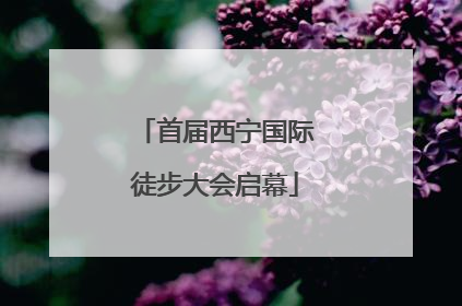 首届西宁国际徒步大会启幕