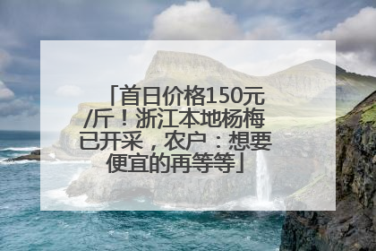 首日价格150元/斤！浙江本地杨梅已开采，农户：想要便宜的再等等