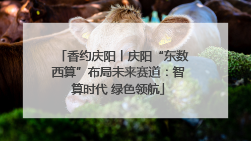 香约庆阳丨庆阳“东数西算”布局未来赛道：智算时代 绿色领航