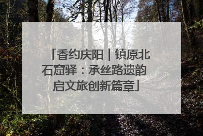 香约庆阳｜镇原北石窟驿：承丝路遗韵 启文旅创新篇章