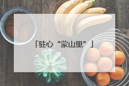 驻心“蒙山里”