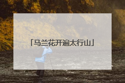 马兰花开遍太行山