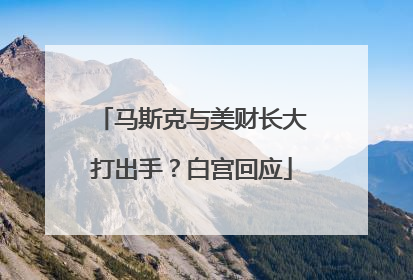 马斯克与美财长大打出手？白宫回应