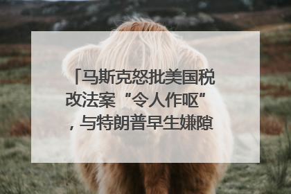 马斯克怒批美国税改法案“令人作呕”，与特朗普早生嫌隙？｜国际识局