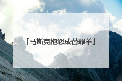 马斯克抱怨成替罪羊
