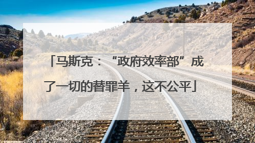 马斯克：“政府效率部”成了一切的替罪羊，这不公平