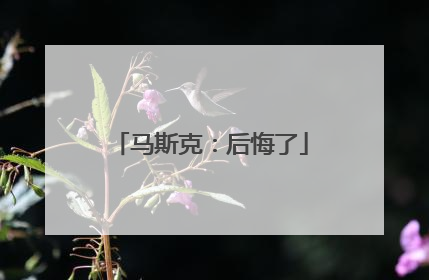 马斯克：后悔了