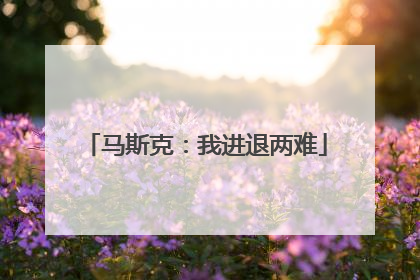 马斯克：我进退两难