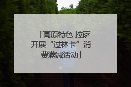 高原特色 拉萨开展“过林卡”消费满减活动