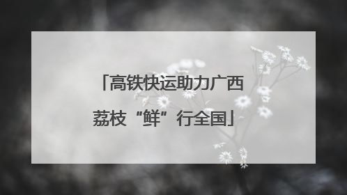 高铁快运助力广西荔枝“鲜”行全国