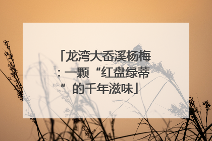 龙湾大岙溪杨梅：一颗“红盘绿蒂”的千年滋味