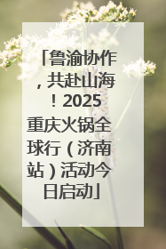 鲁渝协作，共赴山海！2025重庆火锅全球行（济南站）活动今日启动