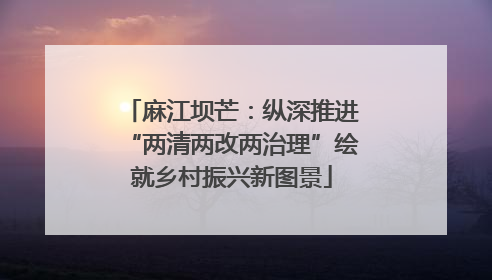 麻江坝芒：纵深推进“两清两改两治理”绘就乡村振兴新图景