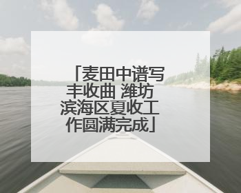 麦田中谱写丰收曲 潍坊滨海区夏收工作圆满完成
