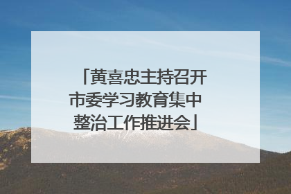 黄喜忠主持召开市委学习教育集中整治工作推进会