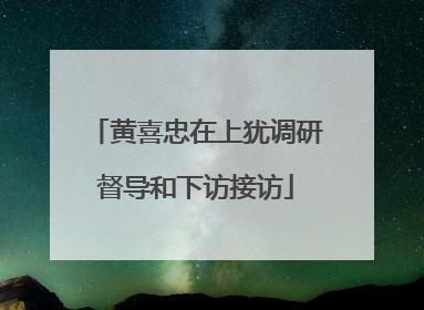 黄喜忠在上犹调研督导和下访接访