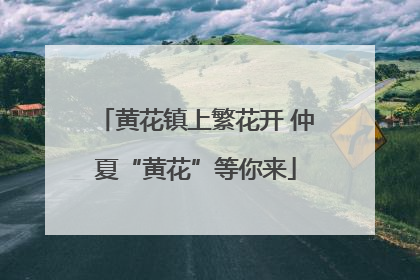 黄花镇上繁花开 仲夏“黄花”等你来