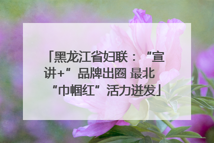 黑龙江省妇联：“宣讲+”品牌出圈 最北“巾帼红”活力迸发