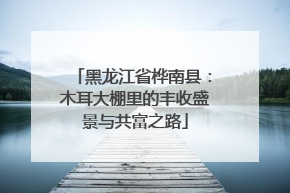 黑龙江省桦南县：木耳大棚里的丰收盛景与共富之路