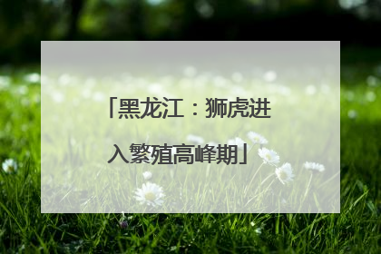 黑龙江：狮虎进入繁殖高峰期