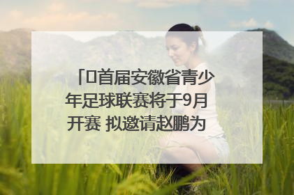 ﻿首届安徽省青少年足球联赛将于9月开赛 拟邀请赵鹏为先导赛开球