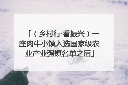 （乡村行·看振兴）一座肉牛小镇入选国家级农业产业强镇名单之后