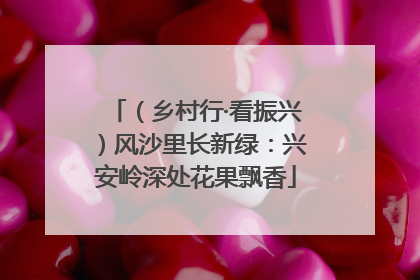（乡村行·看振兴）风沙里长新绿：兴安岭深处花果飘香