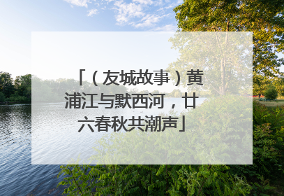 （友城故事）黄浦江与默西河，廿六春秋共潮声