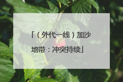 （外代一线）加沙地带：冲突持续