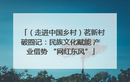 （走进中国乡村）茗新村破圈记：民族文化赋能 产业借势 “网红东风”