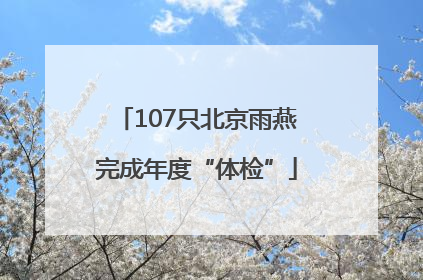 107只北京雨燕完成年度“体检”