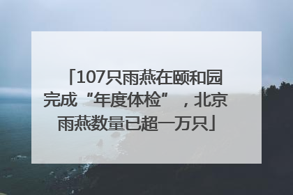 107只雨燕在颐和园完成“年度体检”，北京雨燕数量已超一万只
