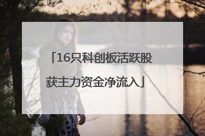 16只科创板活跃股获主力资金净流入
