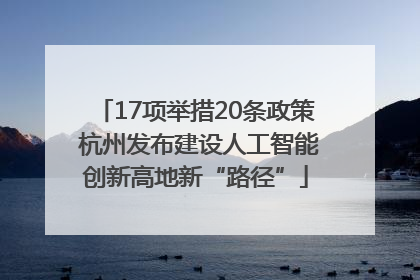17项举措20条政策 杭州发布建设人工智能创新高地新“路径”