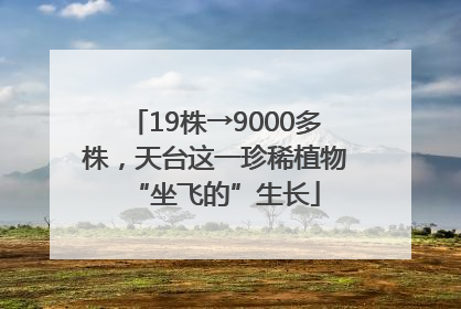19株→9000多株，天台这一珍稀植物“坐飞的”生长