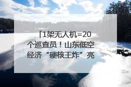 1架无人机=20个巡查员！山东低空经济“硬核王炸”亮相青岛，下一个万亿赛道藏在这里