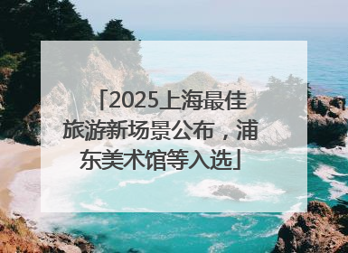 2025上海最佳旅游新场景公布，浦东美术馆等入选