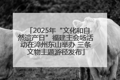 2025年“文化和自然遗产日”福建主会场活动在漳州东山举办 三条文物主题游径发布