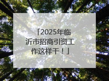 2025年临沂市招商引资工作这样干！