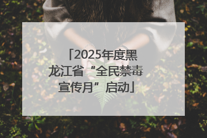 2025年度黑龙江省“全民禁毒宣传月”启动